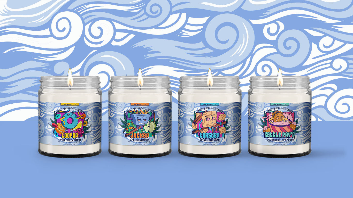 The Modest&Co Odor Fighting Candles combine novelty & cleaner burning ingredients for a unique novelty candle! Our vegan wax - coconut apricot - creates a stronger, longer, & cleaner burn time while killing odors!