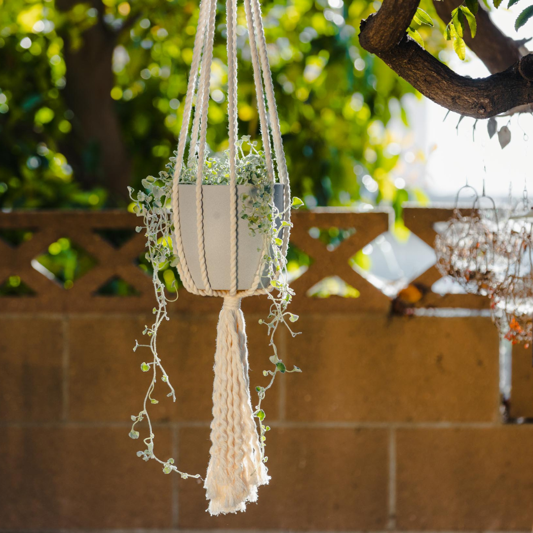 Jasmine Hanging Plant Holder MedLg Pots from Modest&Co. Modest & Co